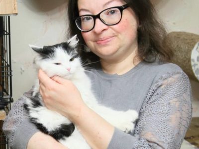 Кошачьи истории