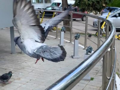 На 6° холоднее, чем вчера