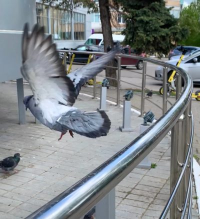 На 6° холоднее, чем вчера На 6° холоднее, чем вчера