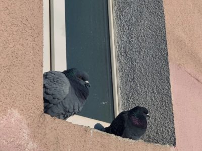 Калугу продолжают поливать дожди