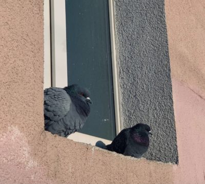 Калугу продолжают поливать дожди Калугу продолжают поливать дожди