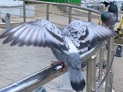 Погода в Калуге