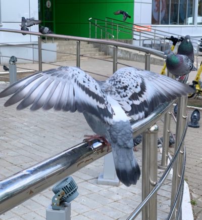 Погода в Калуге