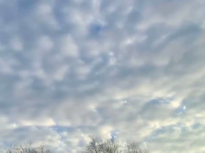 Зима началась с плюсовой температуры Зима началась с плюсовой температуры