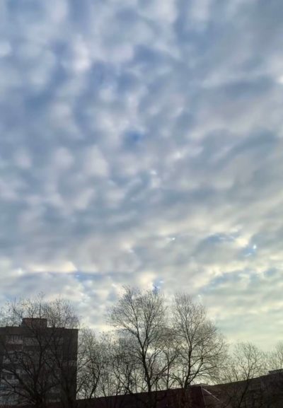 Зима началась с плюсовой температуры