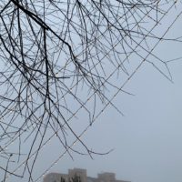 Погода в Калуге