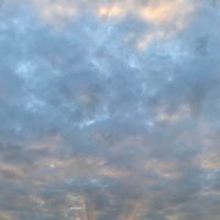 Вновь без снега Вновь без снега