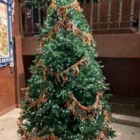 Новый год к нам мчится! Новый год к нам мчится!