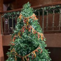 Новый год к нам мчится! Новый год к нам мчится!