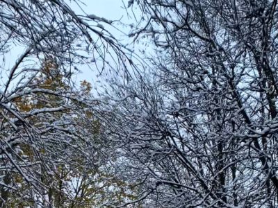 Слабый снег с дождем Слабый снег с дождем