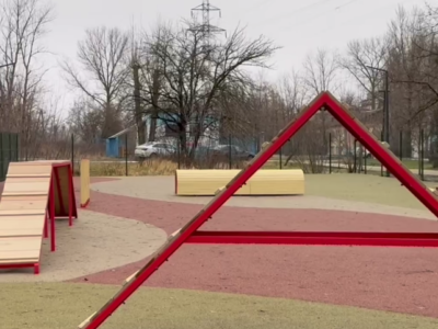 В Калуге открыли вторую площадку для дрессировки собак В Калуге открыли вторую площадку для дрессировки собак