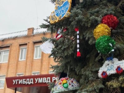 В Калуге нарядили елку ГАИ В Калуге нарядили елку ГАИ