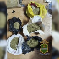 В Калуге владельца фермы по выращиванию конопли ждет суд