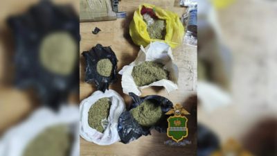 В Калуге владельца фермы по выращиванию конопли ждет суд