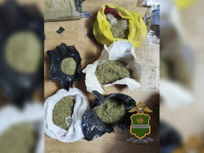 В Калуге владельца фермы по выращиванию конопли ждет суд