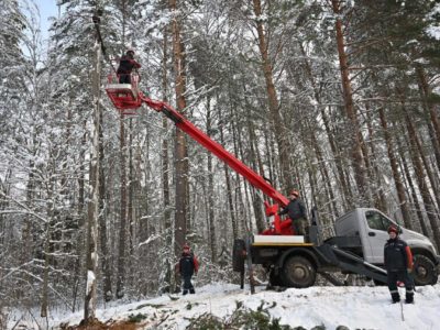 Владислав Шапша поздравил энергетиков с профессиональным праздником