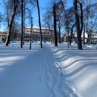 Мороз и гололед