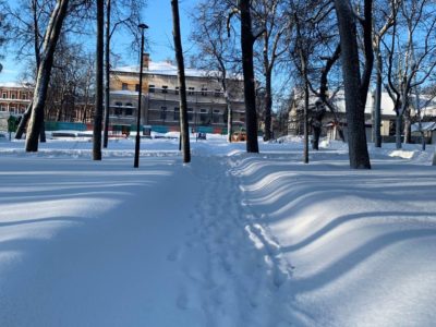 Мороз и гололед Мороз и гололед