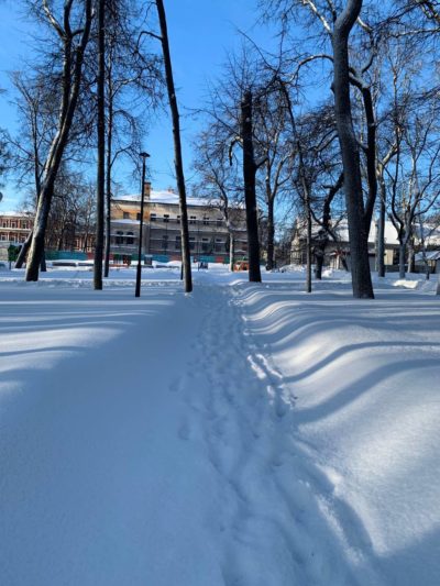 Мороз и гололед