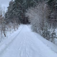 Снег и гололедица Снег и гололедица