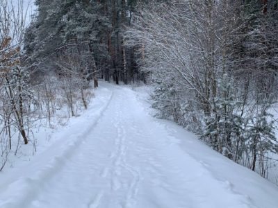 В Калугу пришли январские морозы 