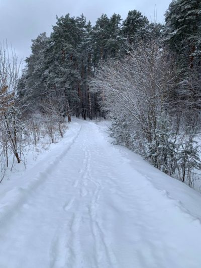 Снег и гололедица Снег и гололедица
