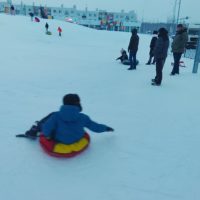 Зимние каникулы радуют снегом Зимние каникулы радуют снегом