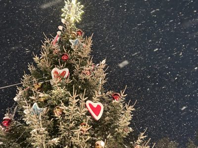 В Калугу пришли снегопады и гололедица В Калугу пришли снегопады и гололедица