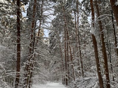 Аномальный холод накроет Калужскую область