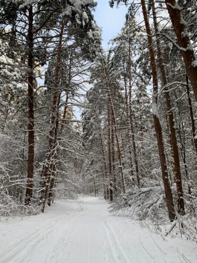 Аномальный холод накроет Калужскую область Аномальный холод накроет Калужскую область