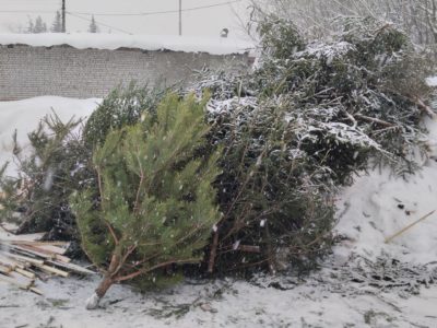 Ёлка: инструкция по применению