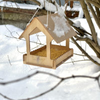 Морозные и ясные выходные ожидают Калугу