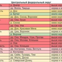 Гидрометцентр спрогнозировал сверхнормативный подъем воды в Оке