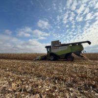 Калужская область вошла в топ-10 по урожайности кукурузы и сои