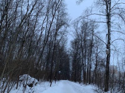 Небольшой снег и гололедица