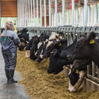 Владислав Шапша отметил успехи аграриев Калужской области