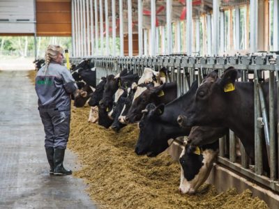 Владислав Шапша отметил успехи аграриев Калужской области