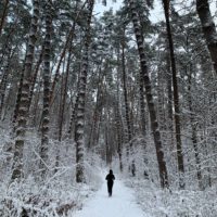 Снежная погода и гололедица