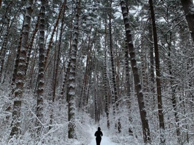 Снежная погода и гололедица