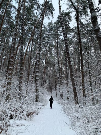 Снежная погода и гололедица