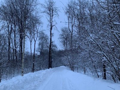 В Калугу пришла оттепель В Калугу пришла оттепель