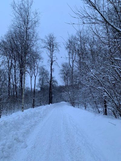 В Калугу пришла оттепель