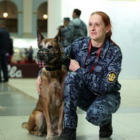 Хип-Хоп Рапира из Калуги блеснула мастерством на выставке «Лучшие собаки России» Хип-Хоп Рапира из Калуги блеснула мастерством на выставке «Лучшие собаки России»