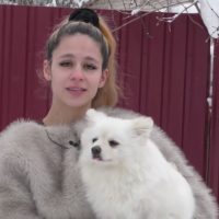 Автоинспекторы спасли потерявшегося шпица