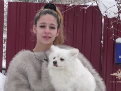 Автоинспекторы спасли потерявшегося шпица