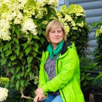 Хорошая рассада – залог урожая