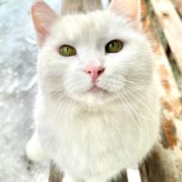 В первый день весны в Калуге потеплеет до +4 В первый день весны в Калуге потеплеет до +4