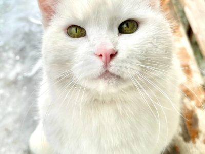 В первый день весны в Калуге потеплеет до +4 В первый день весны в Калуге потеплеет до +4