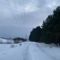 В Калуге сохраняется плюсовая температура В Калуге сохраняется плюсовая температура