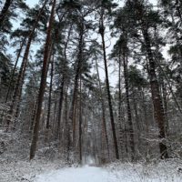 Мокрый снег и гололедица